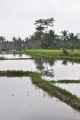 11 indo2010-076
