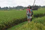 11 indo2010-083