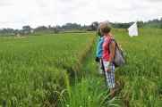 11 indo2010-085