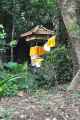 11 indo2010-099