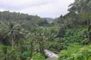 11 indo2010-103