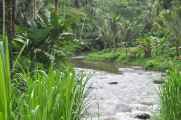 11 indo2010-107