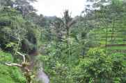 11 indo2010-116
