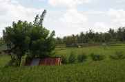 11 indo2010-136