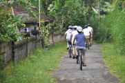 12 indo2010-22