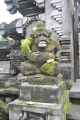 12 indo2010-52