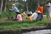12 indo2010-56