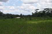 12 indo2010-64