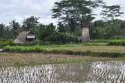 12 indo2010-74