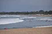 15 indo2010-02-1