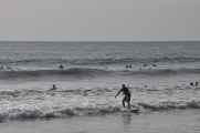 15 indo2010-36-1
