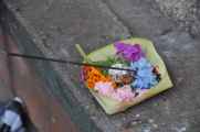16 indo2010-04