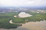 17 indo2010-05