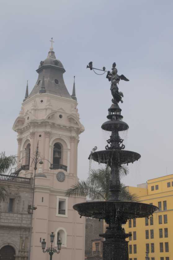 037 110504 Lima