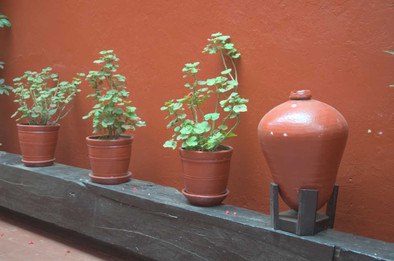 065 110504 Lima