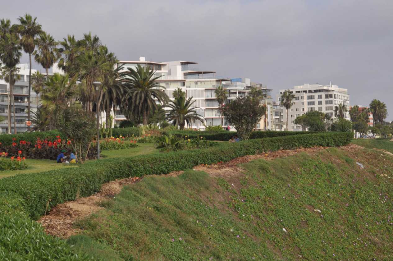 078 110504 Lima