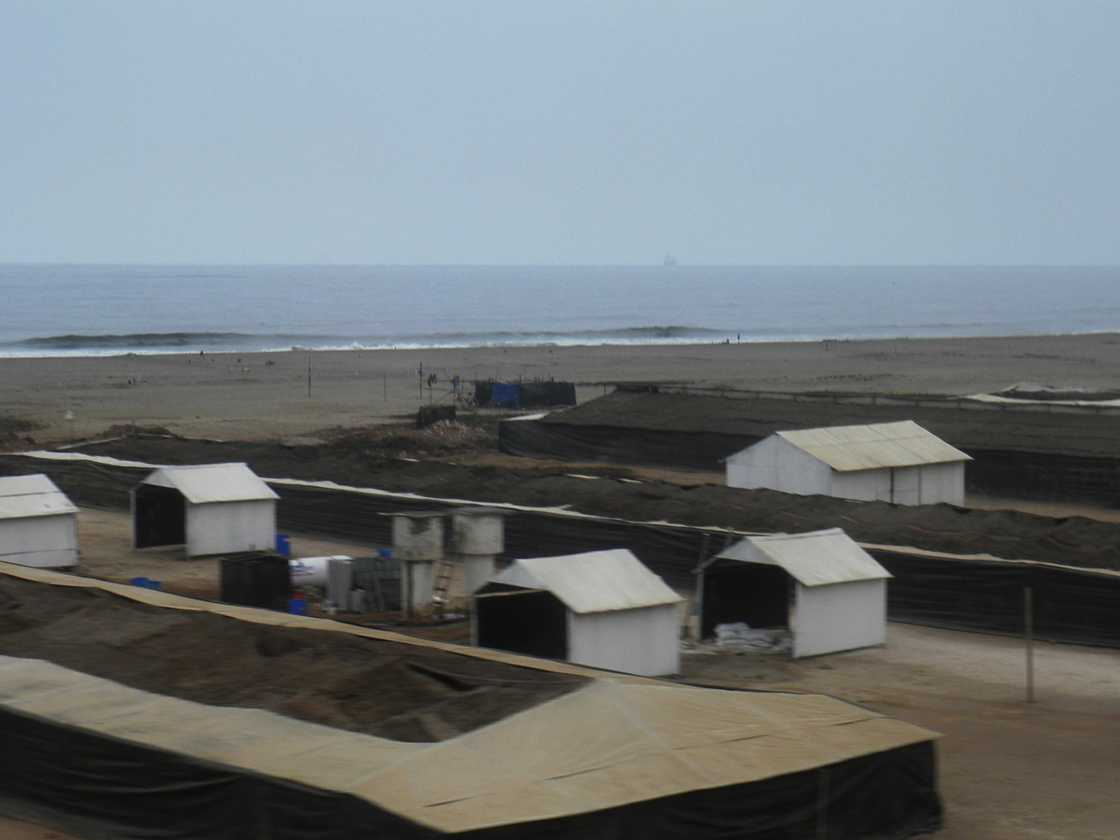 001 110505 Ballestas-Ica