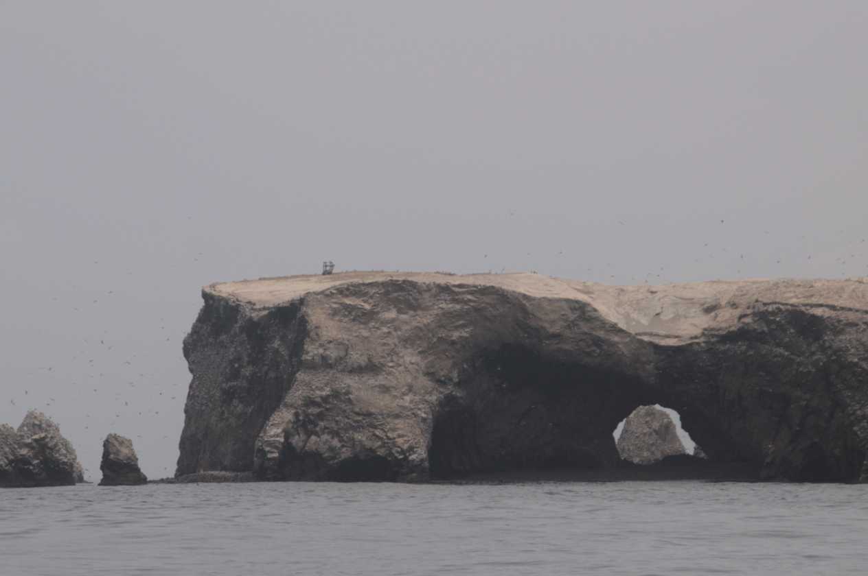 027 110505 Ballestas-Ica