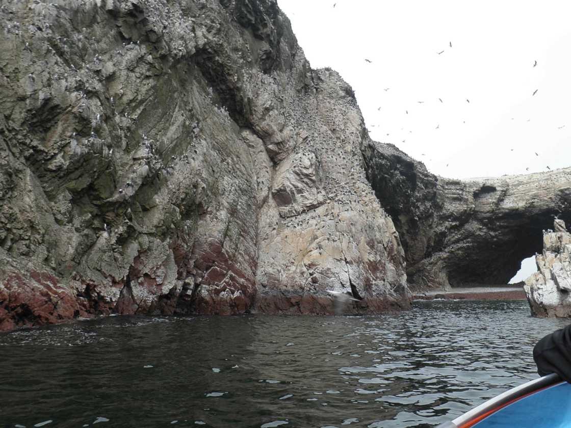 075 110505 Ballestas-Ica