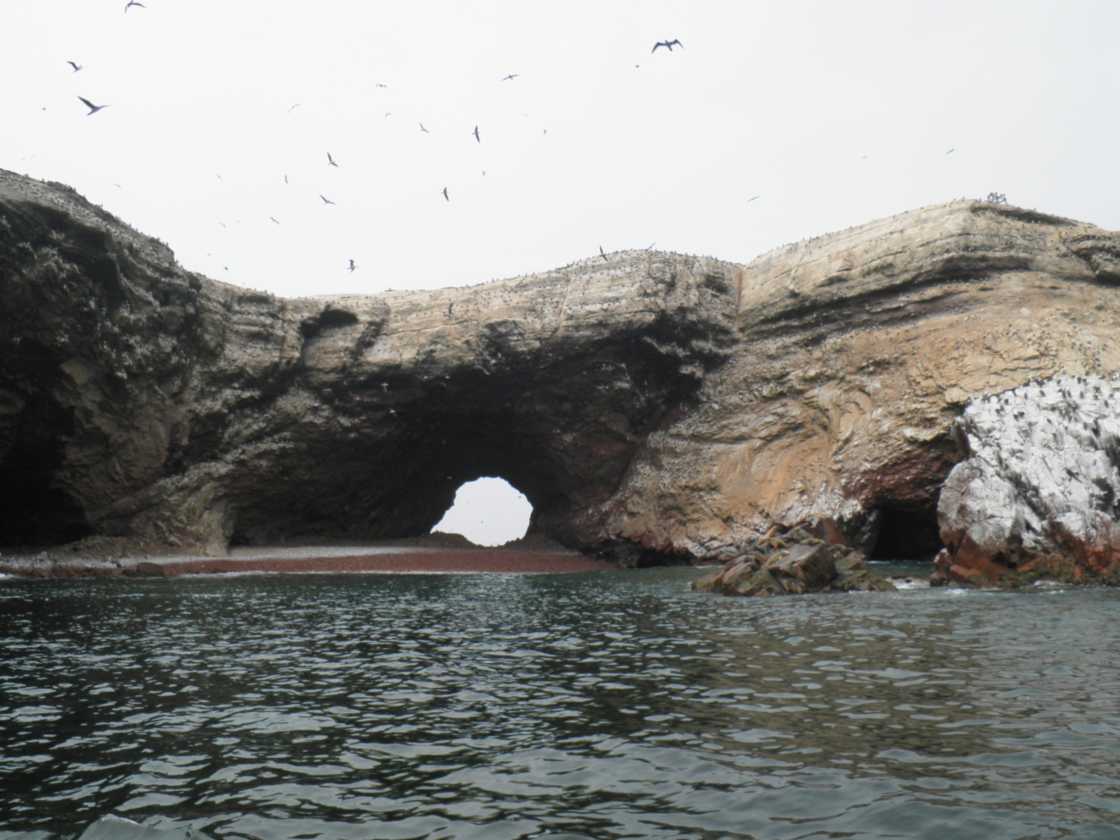 079 110505 Ballestas-Ica
