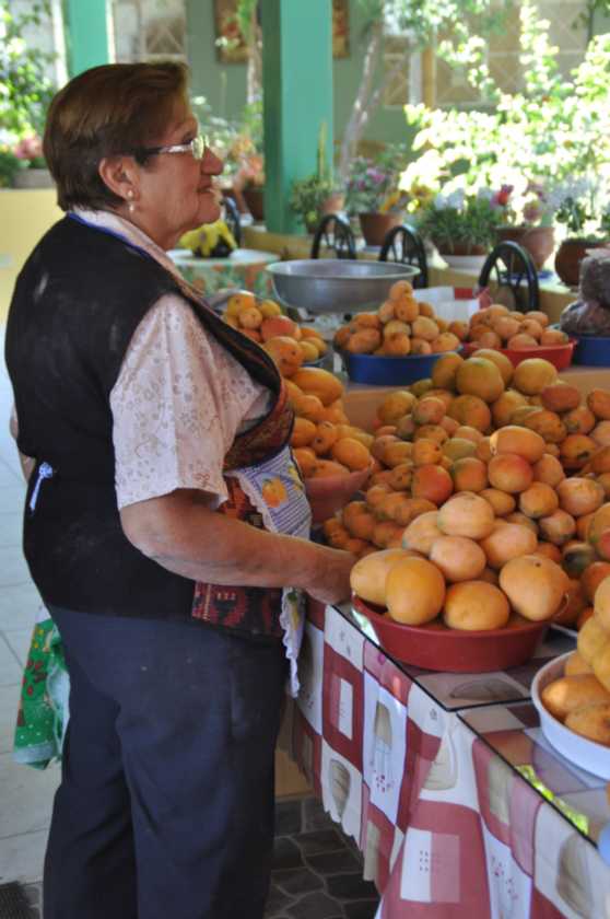 022 110506 Ica-Nazca