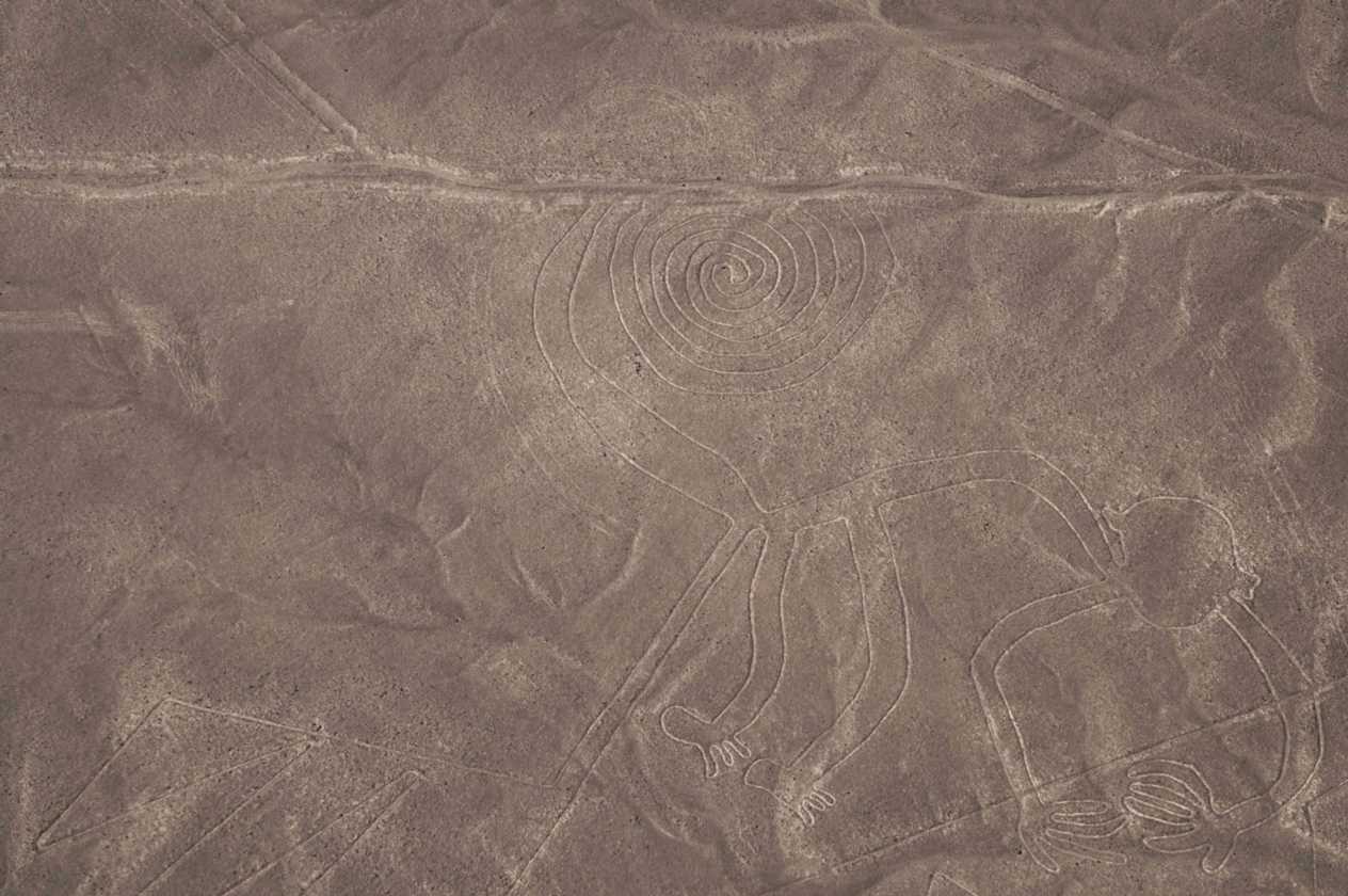 019 110507 Nazca