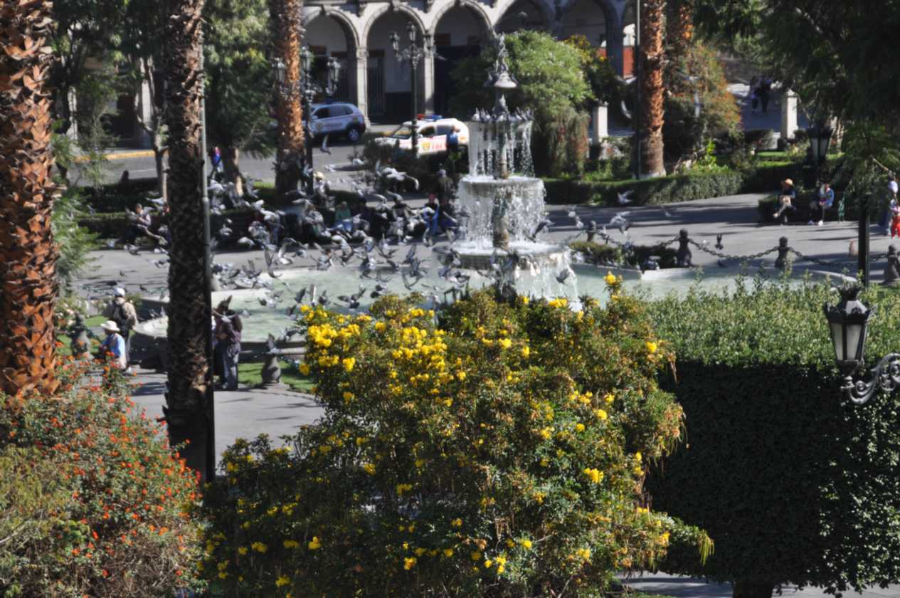 021 110508 Arequipa
