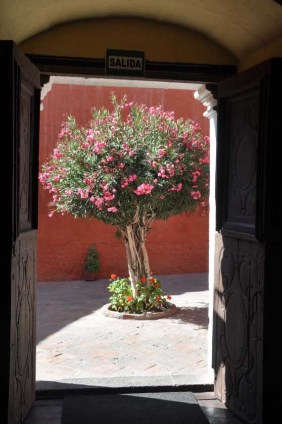 054 110508 Arequipa
