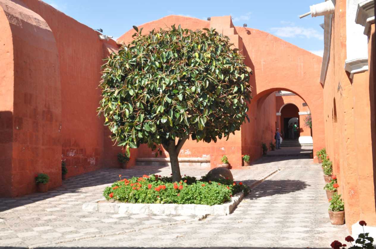 057 110508 Arequipa