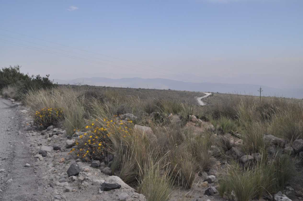 035 110509 Arequipa