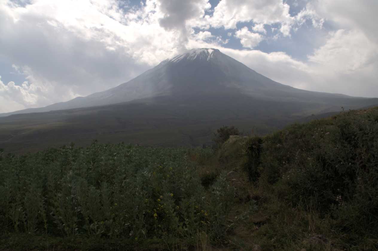 039 110509 Arequipa