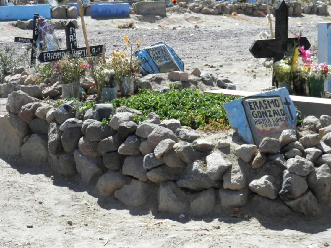 055 110509 Arequipa