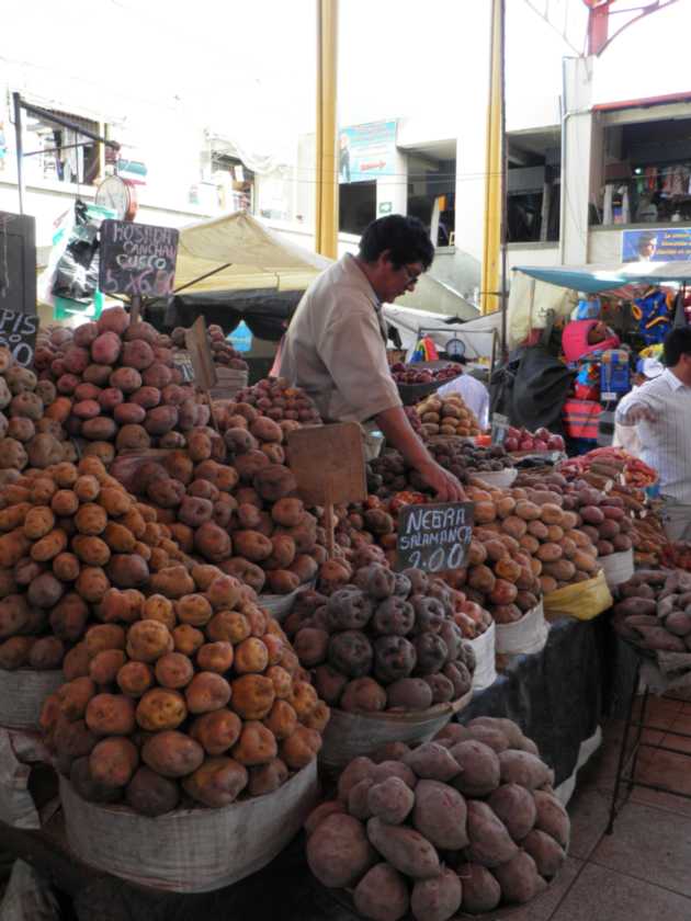 071 110509 Arequipa