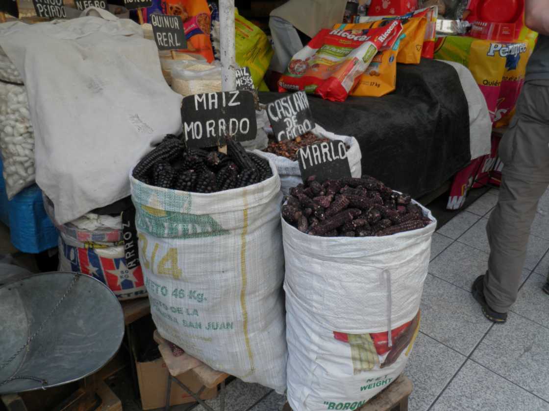 072 110509 Arequipa