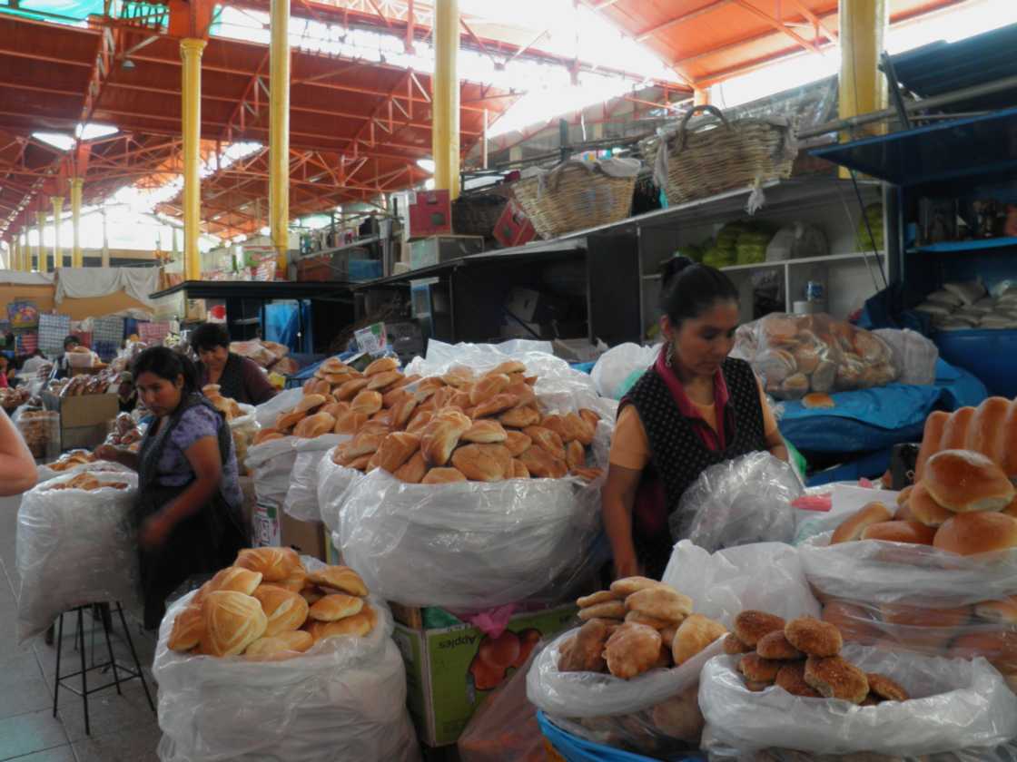 077 110509 Arequipa