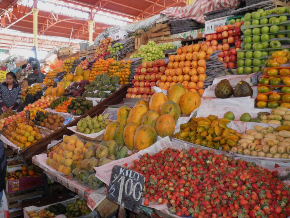 078 110509 Arequipa