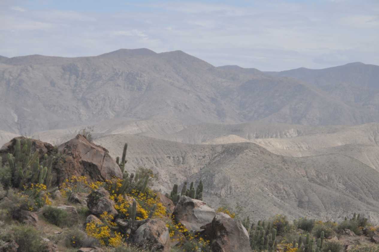 004 110510 Arequipa-Chivay