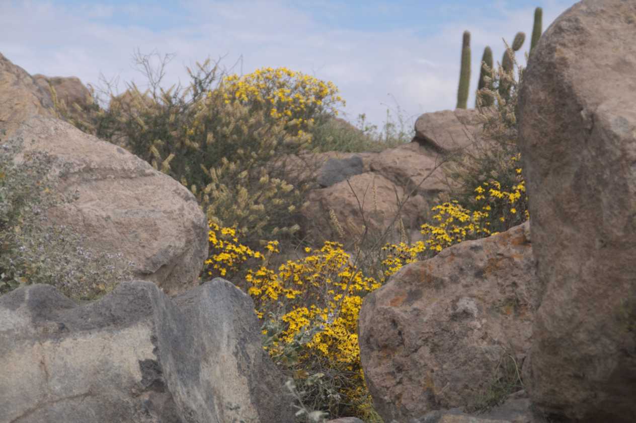 010 110510 Arequipa-Chivay