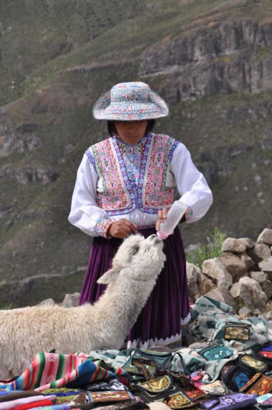 044 110510 Arequipa-Chivay