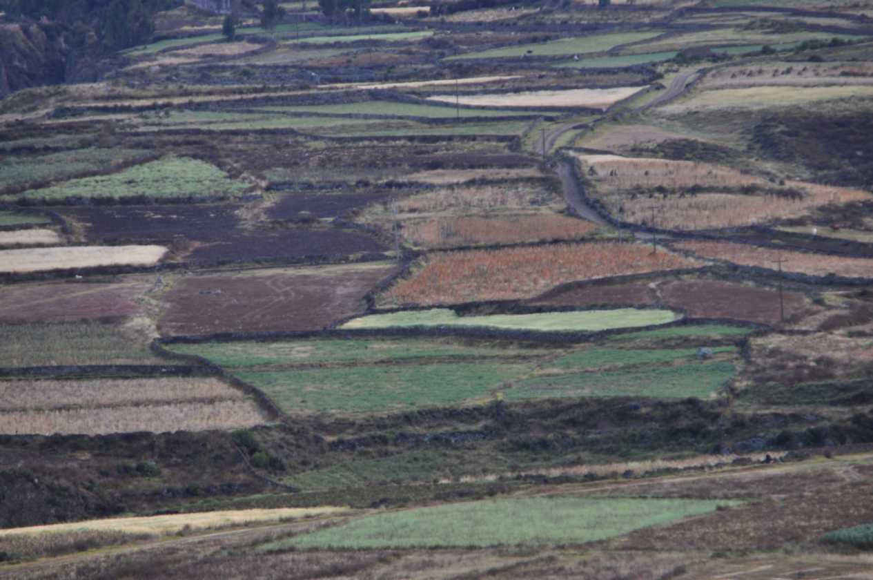 007 110511 Colca Canyon
