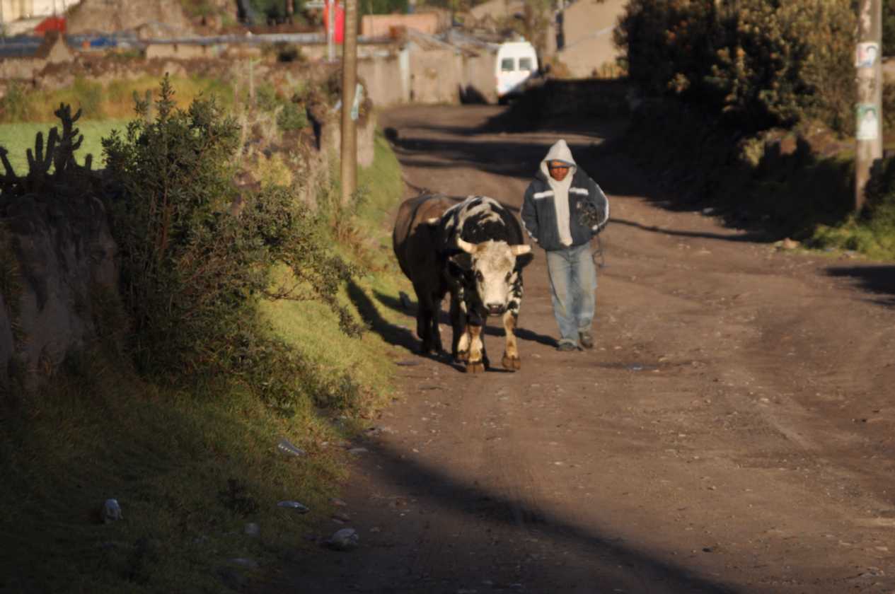 010 110511 Colca Canyon
