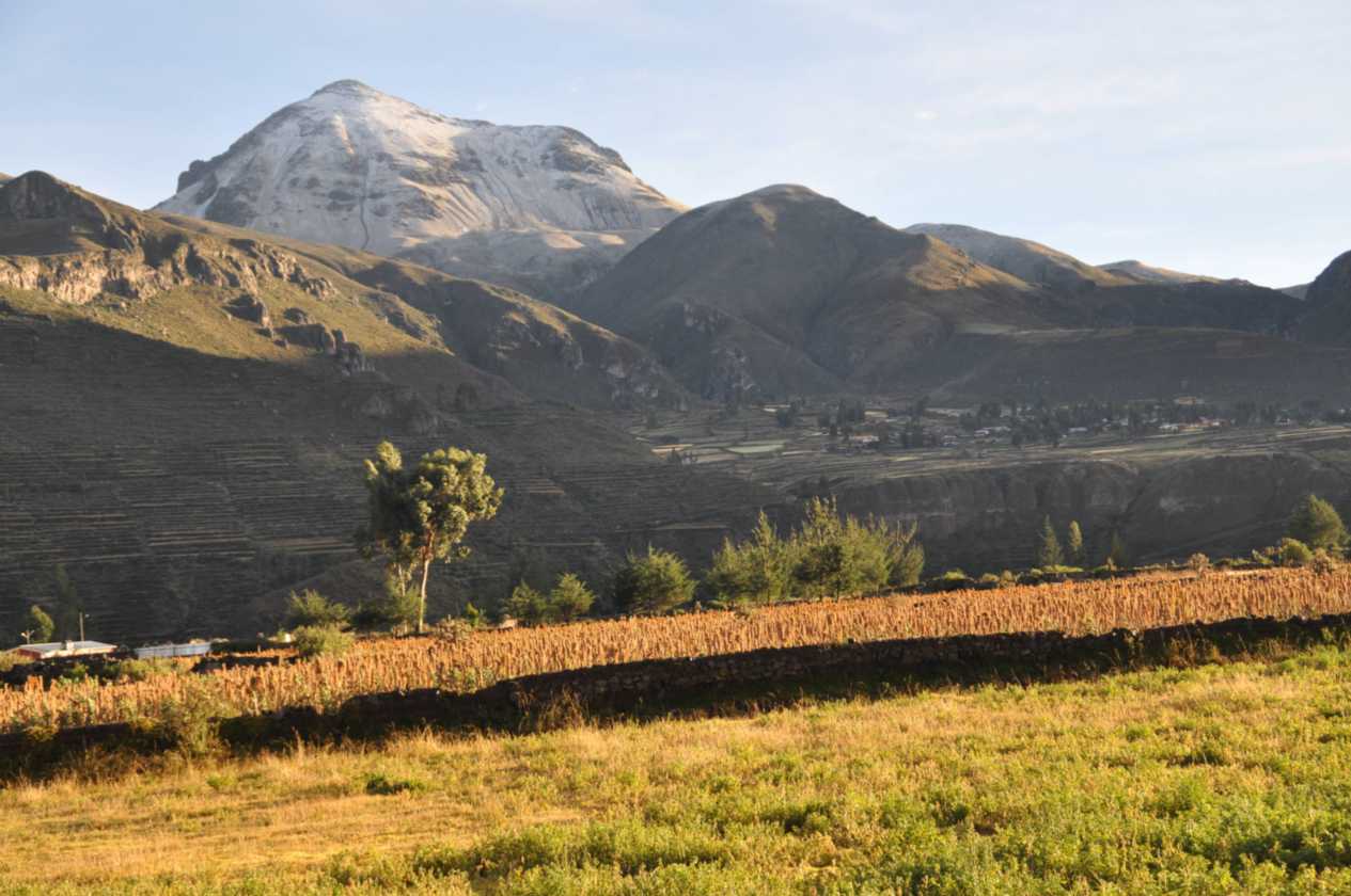 012 110511 Colca Canyon