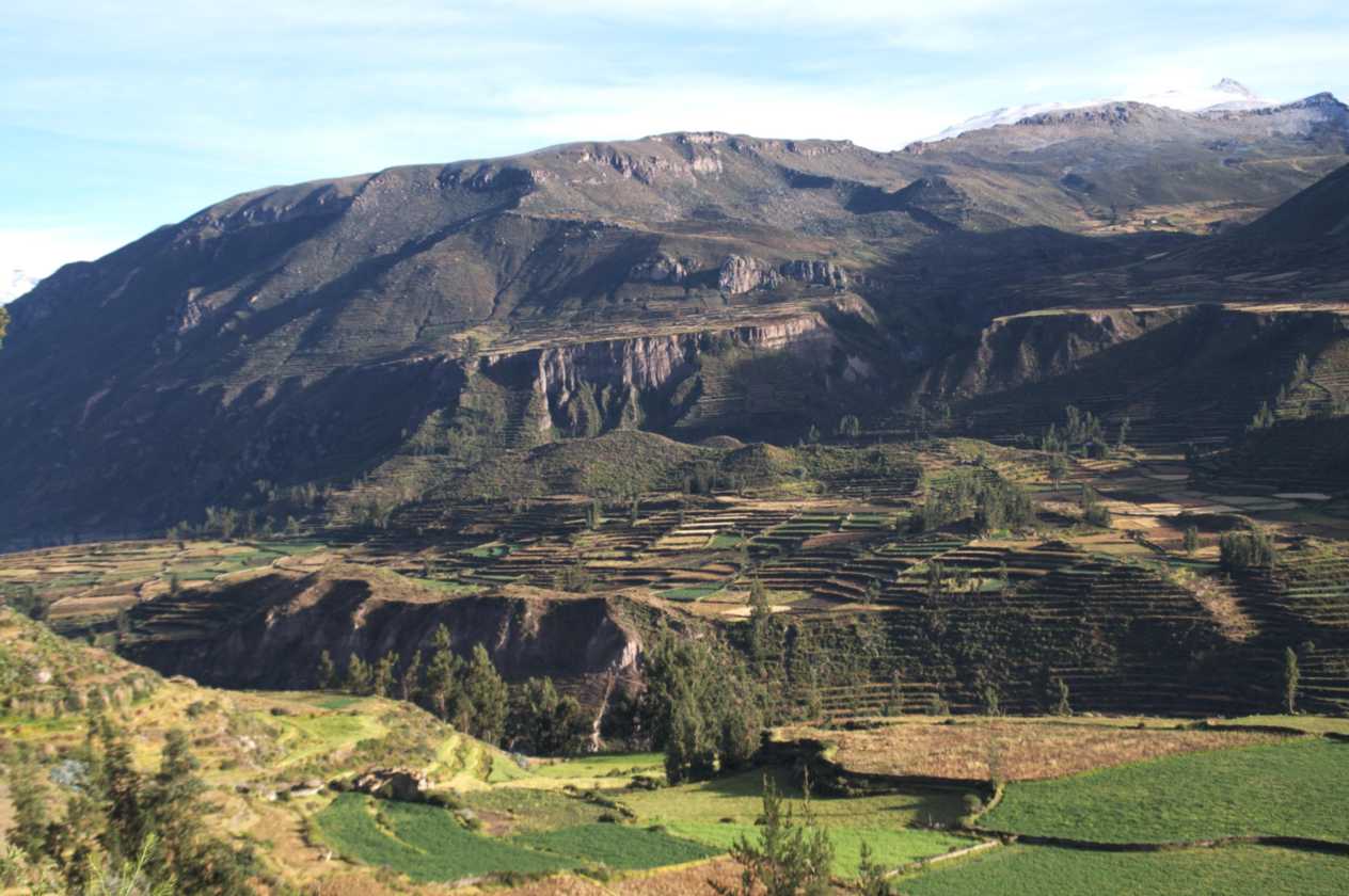 022 110511 Colca Canyon
