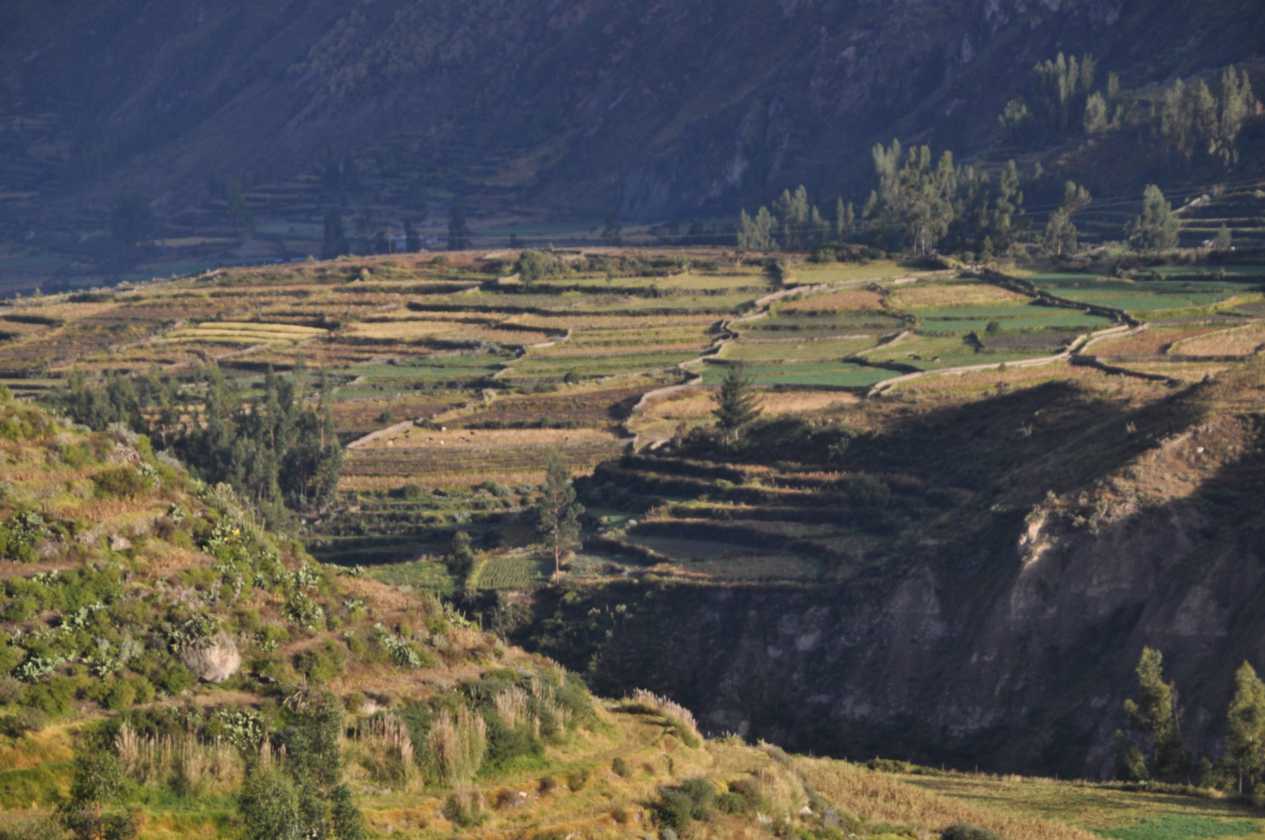 024 110511 Colca Canyon