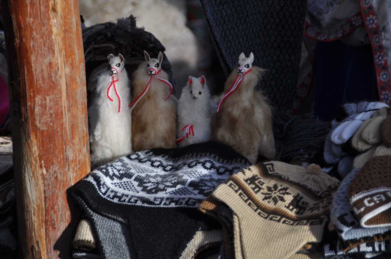 028 110511 Colca Canyon