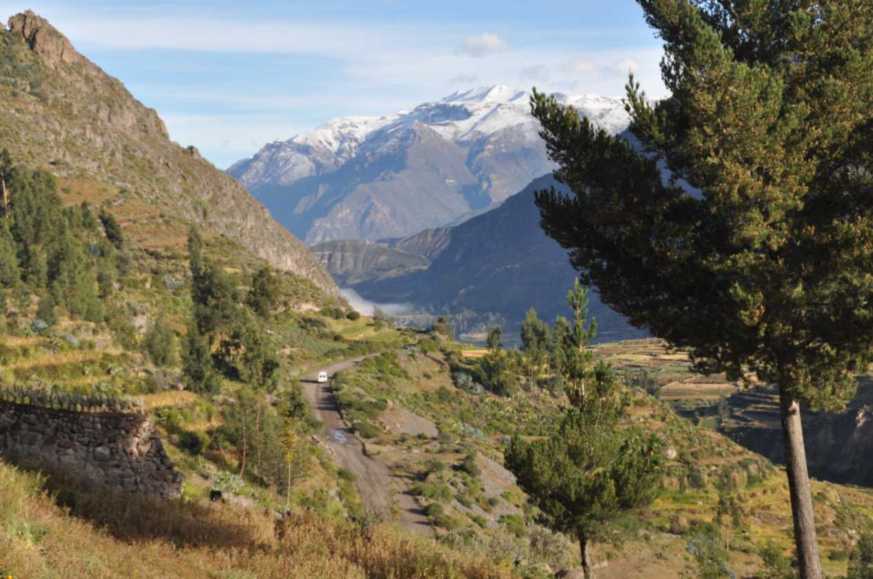 029 110511 Colca Canyon