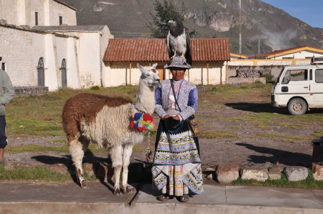 036 110511 Colca Canyon