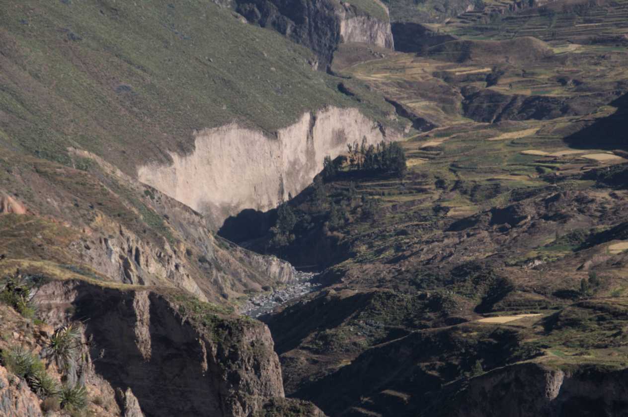 045 110511 Colca Canyon