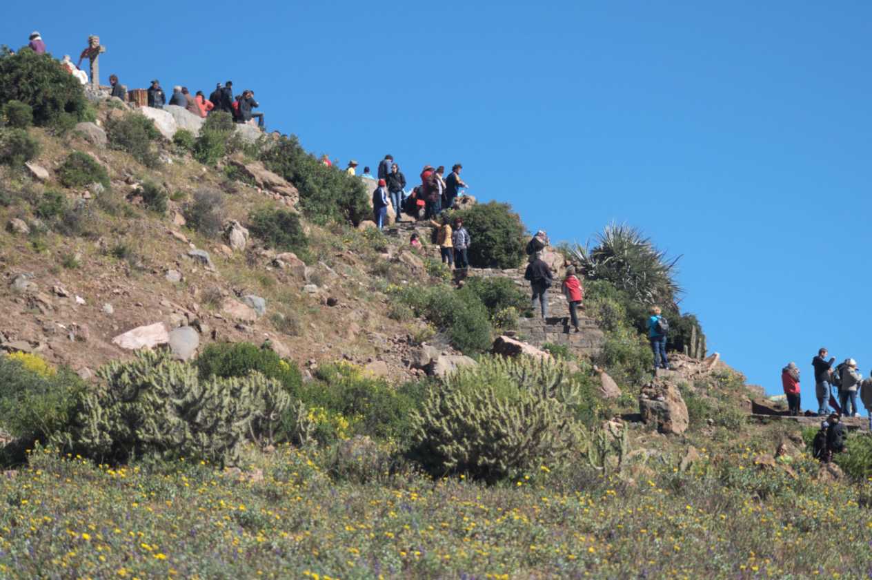 046 110511 Colca Canyon