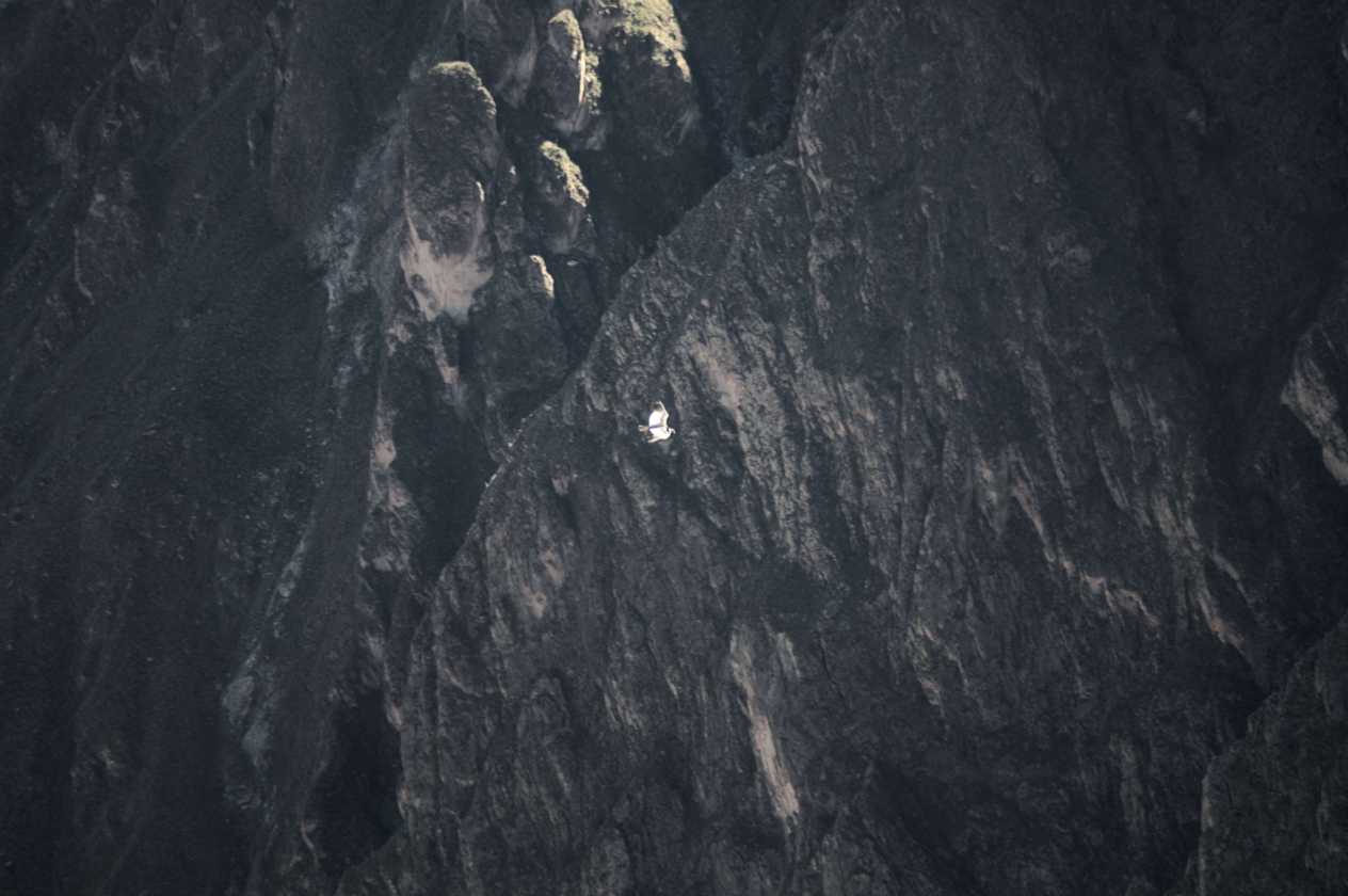 088 110511 Colca Canyon